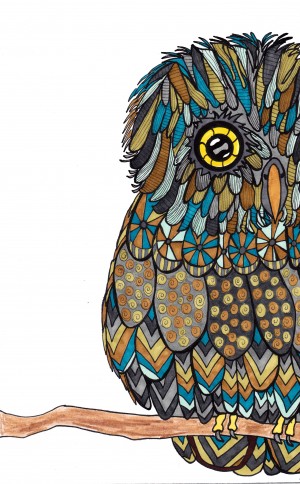 Teal Owl
